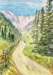 Taylor Creek Area
